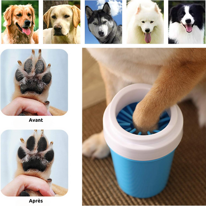 CleanPattes
